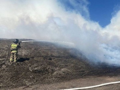 
                    Природный пожар в области Абай ликвидирован
                