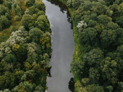 
                    Более 76 км каналов забетонировали в Туркестанской области
                