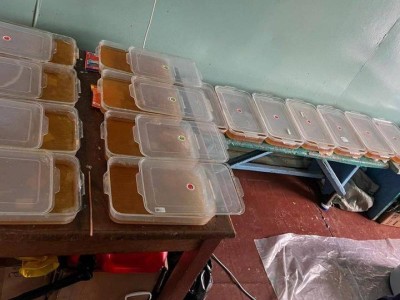 
                    Обыск иностранцев провел КНБ в Алматинской области
                