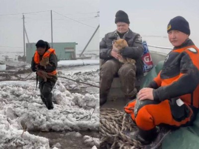 
                    Одинокого охранника и его кошку спасли в Акмолинской области
                