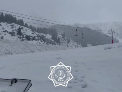 
                    Сошла снежная лавина в горах Алматы
                