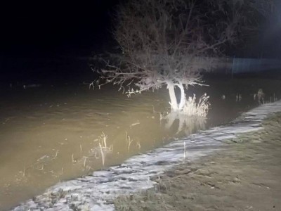 
                    Талая вода скопилась в области Абай
                