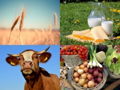 
                    Казахстан вошел в тройку лидеров ЕАЭС по росту производства сельхозпродукции
                