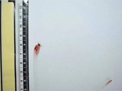
                    Мертвый комар помог полицейским изобличить преступника
                