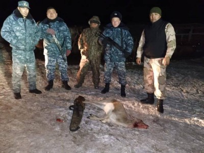 
                    Застрелили краснокнижных джейранов: браконьеров задержали в Жамбылской области
                
