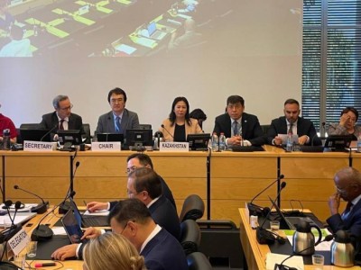 
                    Защита женщин и поддержка НПО: Казахстан представил национальный доклад на сессии Комитета ООН
                