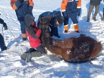 
                    За прошедшие сутки в области Абай проведены две аварийно-спасательные работы
                