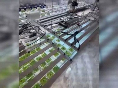 
                    Сразу три подпольные нарколаборатории ликвидировали в Алматинской области
                