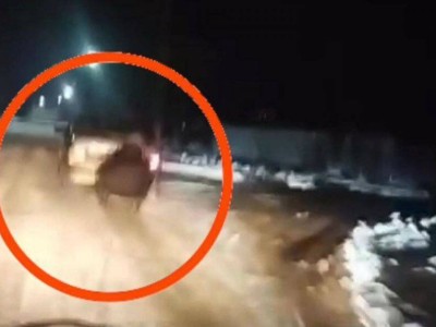 
                    Авто с прицепленными санями, в которых находились дети, колесило по городу Каратау
                