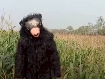 
                    Пугало ходячее: довольно необычную работу нашел для себя мужчина – видео
                