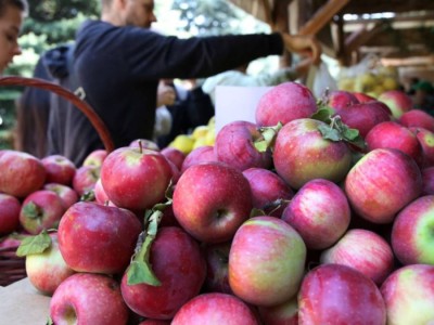 
                    В Алматинской области представили экобезопасные методы защиты садов
                