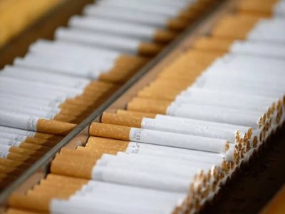 
                    Контрафактные сигареты на 2,7 млрд тенге изъяли в Семее
                
