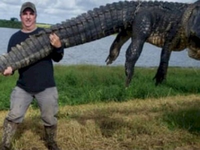 
                    Огромный аллигатор, долгое время вредивший людям, застрелен во Флориде
                