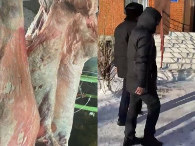 
                    Хотел заработать на свадьбу: скотокрадов задержали акмолинские полицейские
                