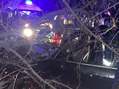 
                    Лошадь на дороге спровоцировала смертельное ДТП в Жетісу
                