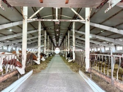 
                     Льготное кредитование для аграриев запустят в Казахстане
                