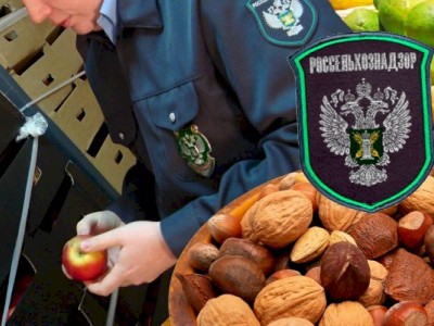 
                    Россельхознадзор заявил о нарушениях при ввозе сельхозпродукции из Казахстана
                