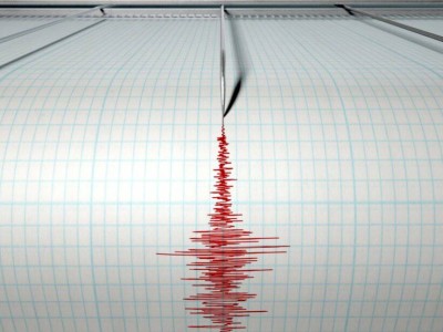 
                    Землетрясение магнитудой 4,9 зафиксировали алматинские сейсмологи
                