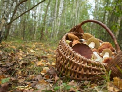 
                    Пропавшую в Каркаралинске грибницу нашли мертвой
                