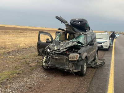
                    Лошадь стала причиной смертельного ДТП в Жетысуской области
                