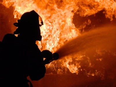 
                    Женщину с двумя детьми убили и сожгли в Алматинской области
                