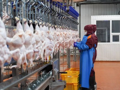 
                    Первый завод по глубокой переработке яйца построят в Казахстане
                