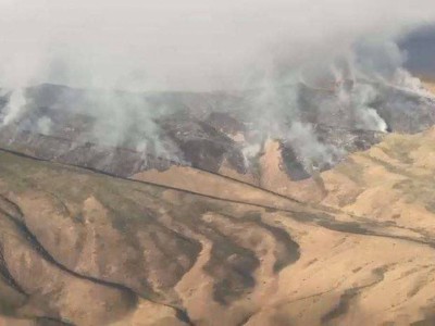 
                    Пожар в горах Жамбылской области ликвидирован
                