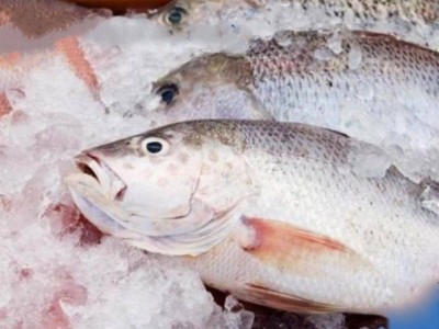 
                    Еще на полгода продлили запрет на экспорт судака и сома в Казахстане
                