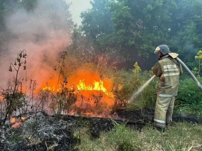 
                    Пожар вспыхнул в резервате «Семей орманы»
                