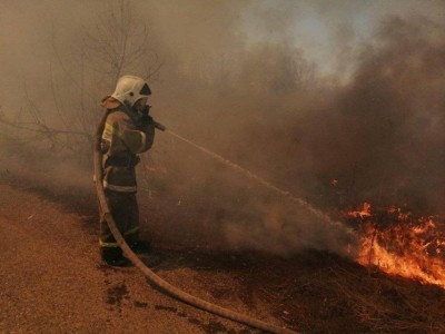 
                    В Восточном Казахстане сохраняется высокая пожароопасность
                