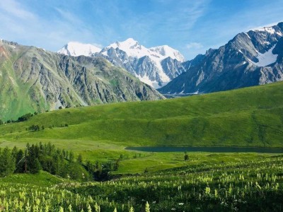 
                    Туристку спасли в горах Восточного Казахстана
                