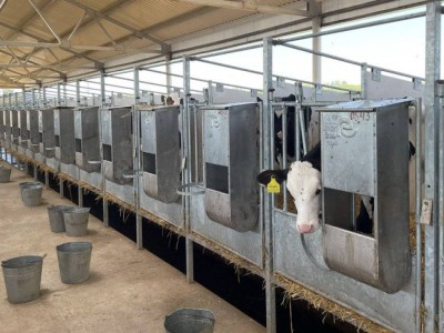 
                    Открытие новых рынков экспорта и удешевление мяса рассмотрели в Правительстве
                
