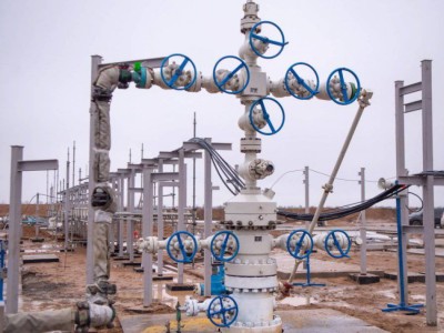
                    Добычу газа на месторождении Рожковское начали в Казахстане
                