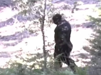 
                    Запечатленного на видео снежного человека активно обсуждают пользователи интернета
                