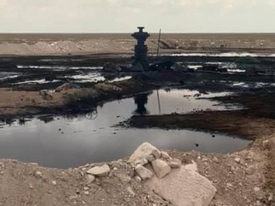 
                    Гибель верблюда на месте розлива нефти в Мангистау прокомментировали в Минэкологии
                