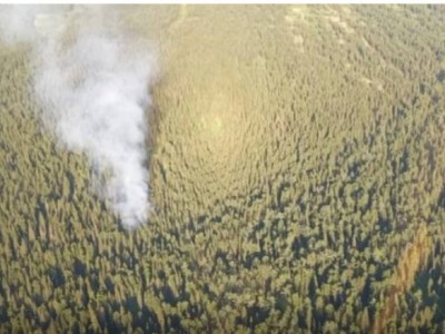 
                    С пожаром высоко в горах борются в Восточном Казахстане
                