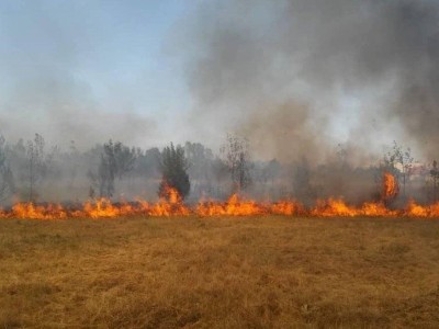 
                    Большая часть пожара в Карагандинской области потушена
                