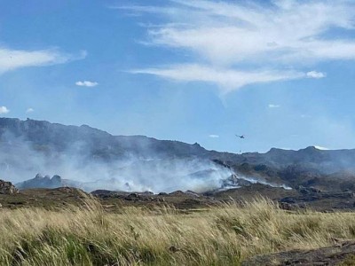 
                    Загорание в горной местности области Абай локализовано
                