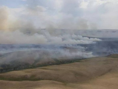 
                    Пожар произошел в Баянаульском нацпарке
                