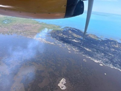 
                    Возгорание камыша тушат с вертолета в Алматинской области
                