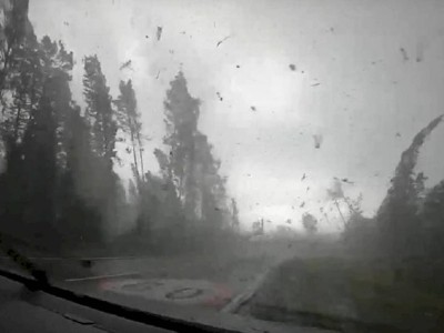 
                    Мощный ураган в Беларуси, поваливший десятки деревьев, попал на видео
                