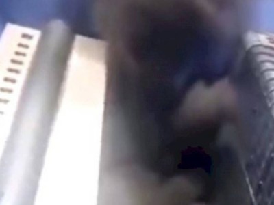 
                    В Китае загорелась Сианьская башня международной торговли
                