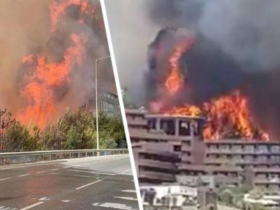 
                    В Турции удалось локализовать 74 очага пожаров
                