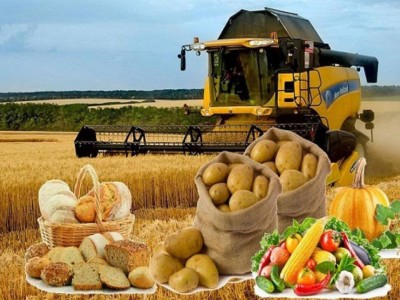 
                    Более 300 инвестпроектов запустят в сельском хозяйстве до конца года
                