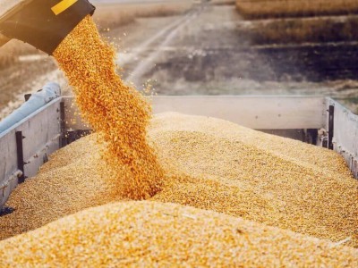 
                    Запрет на ввоз пшеницы в Казахстан продлен – МВК
                