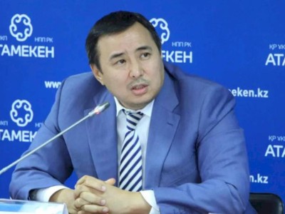 
                    Экс-главу правления НПП «Атамекен» заключили под стражу на два месяца
                