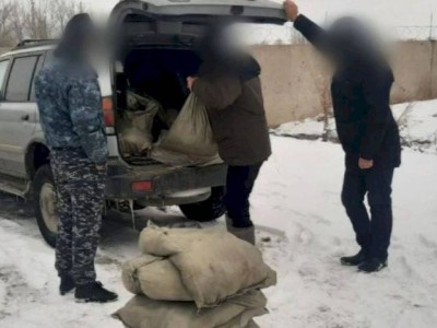 
                    149 килограммов рыбы незаконно перевозил житель Павлодара
                