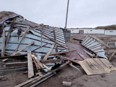 
                    В Павлодарской области из-за сильного ветра без света остались более 20 населенных пунктов
                