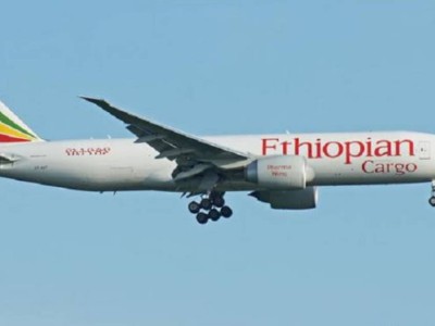 
                    Boeing 737 по ошибке приземлился в недостроенном аэропорту в Замбии
                