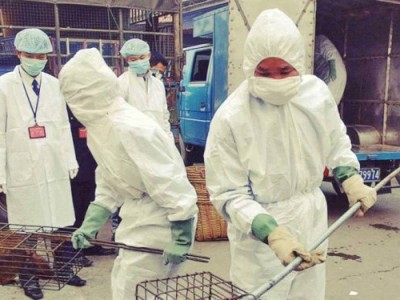 
                    Эксперты ВОЗ не обнаружили на уханьском рынке источника COVID-19
                